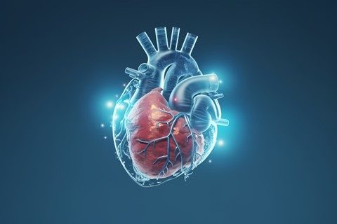 TAVR Procedure