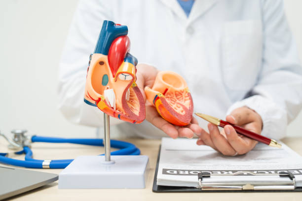 Rheumatic Heart Disease Treatment In Cunningham Road